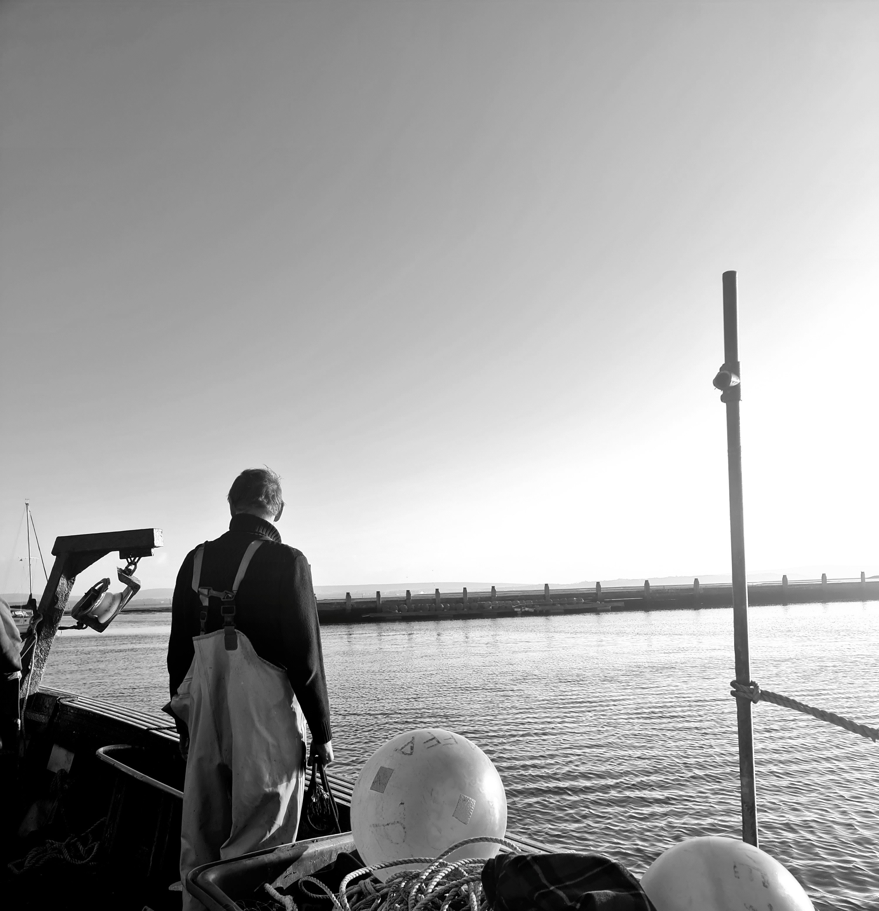 Hampshire fishmonger